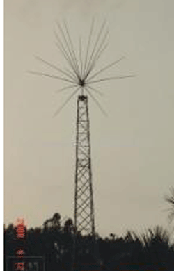 ������ϵ��