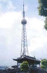 �V���ҕ��ϵ��